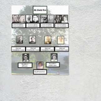 Póster Four-Generation Chinese Elm Family Tree Photos