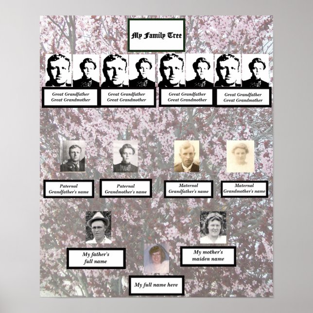 Póster Four Generation Plum Blossom Family Tree Poster (Frente)