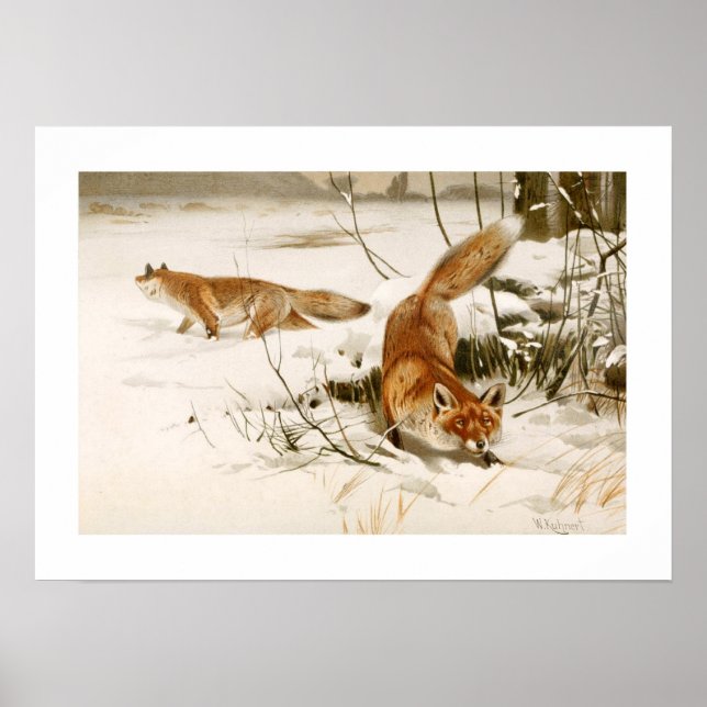 Póster Fox (Frente)