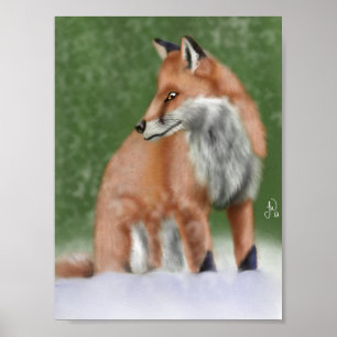 Póster Fox