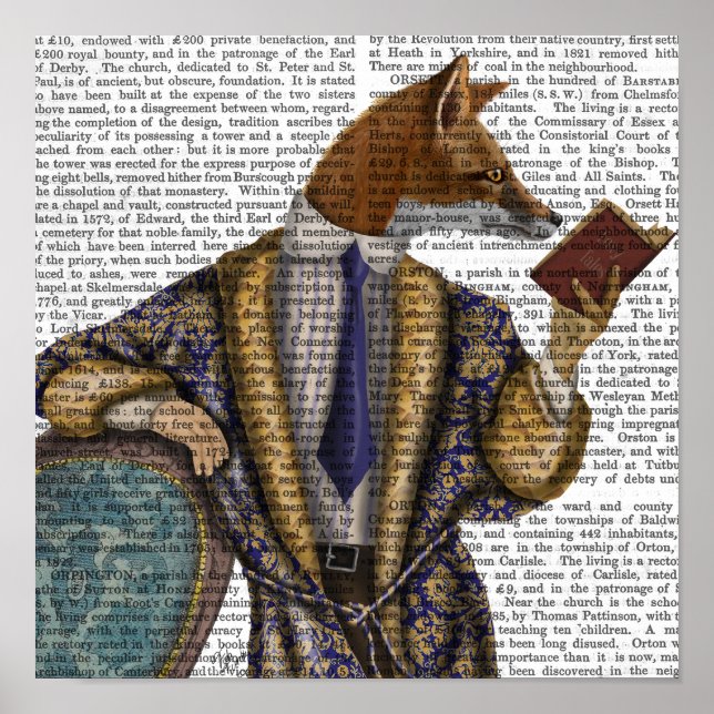 Póster Fox de lectura de libros (Frente)