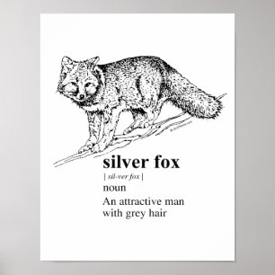 PÓSTER FOX DE PLATA -