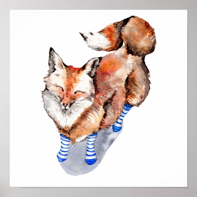 Póster Fox en calcetines (Frente)