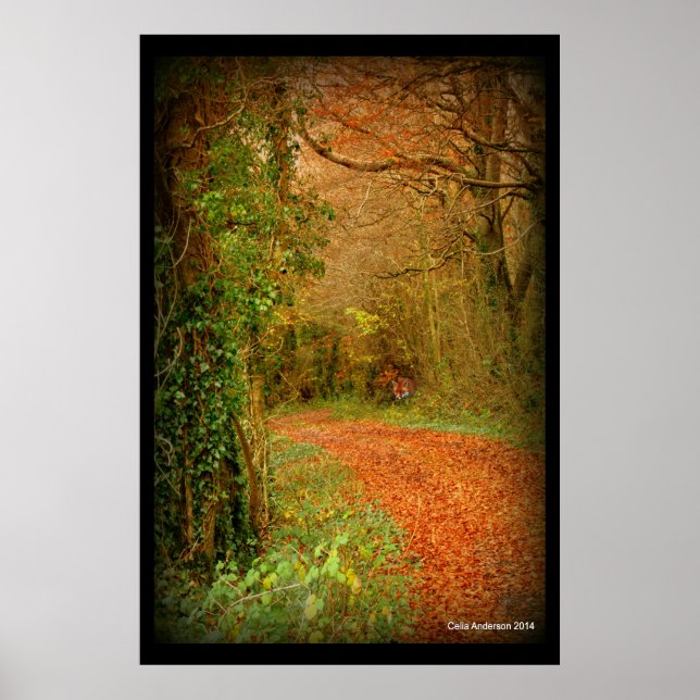 Póster Fox en el Poster de Camino de Oro ~ Fantasía (Frente)