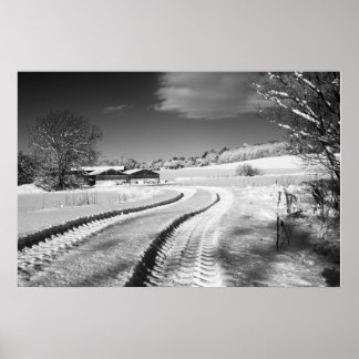 Póster Fox Hill Farm