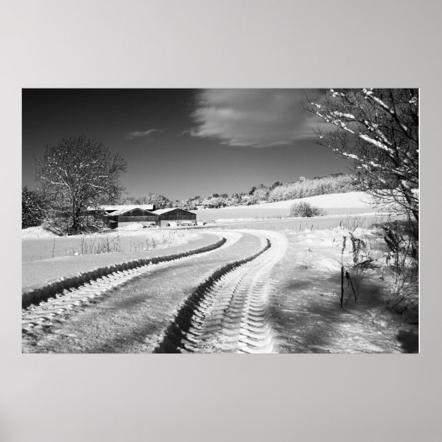 Póster Fox Hill Farm (Frente)