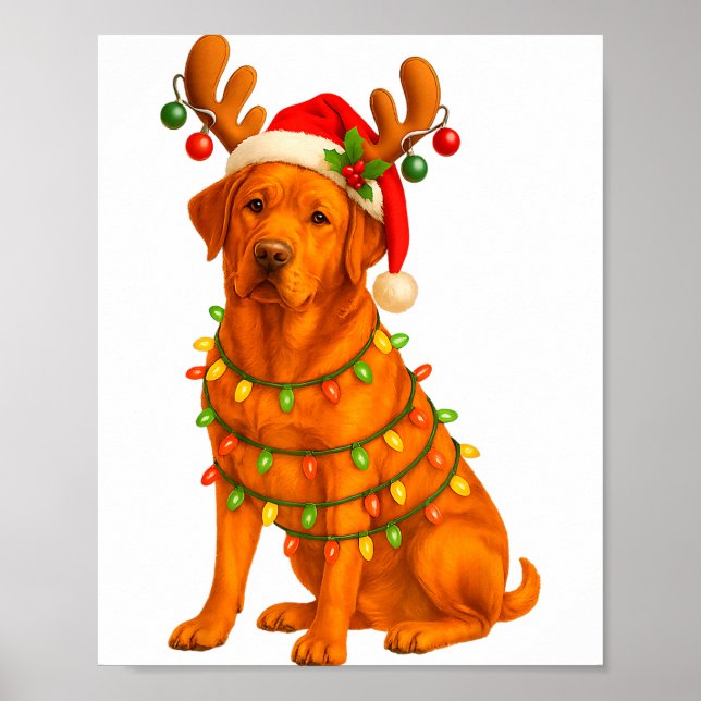 Póster Fox Red Lab Christmas Tree Light Pajama Labrador D (Frente)