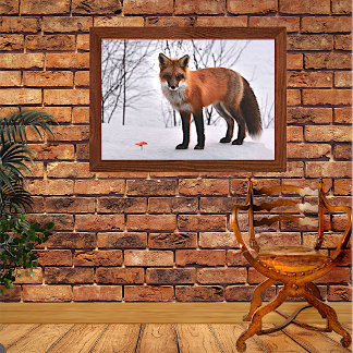 Póster Fox roja en nieve