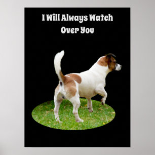 Póster Fox Terrier, Poster