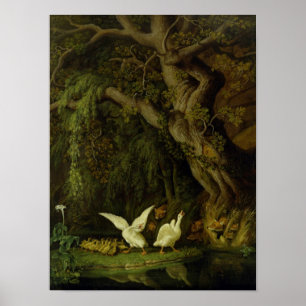 Póster Foxes and Geese