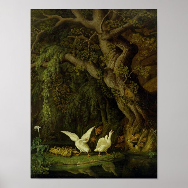 Póster Foxes and Geese (Frente)