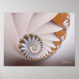 Póster Fractal de la concha de la concha de nautilus blan