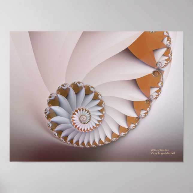 Póster Fractal de la concha de la concha de nautilus blan (Frente)