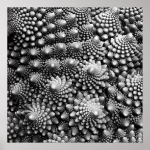 Póster Fractal de verduras de Fibonacci, Romanesco Brocco