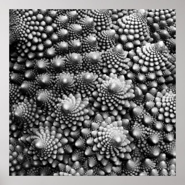 Póster Fractal de verduras de Fibonacci, Romanesco Brocco (Frente)
