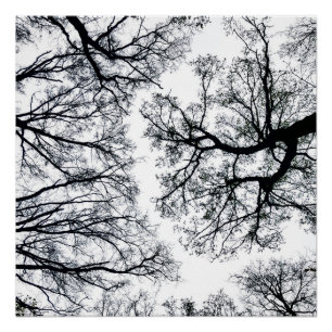 Póster Fractal de Zwollenaar