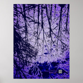 Póster Fragmento neuronal