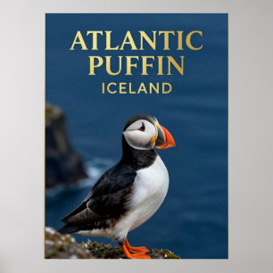 Póster 🐧 Frailecillo Atlántico Ave Costera de Islandia