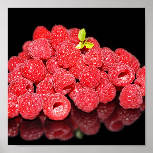 Póster frambuesa, comida, fruta, baya, maduro, fresco, (Frente)