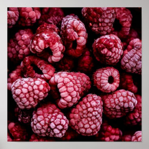 Póster Frambuesas de rojo fresco
