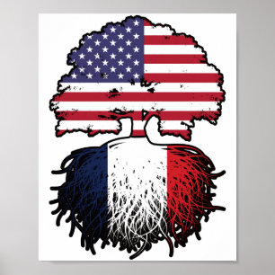 Póster Francia Francés Americano EEUU Estados Unidos Amér