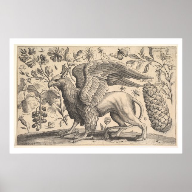 Póster Fráncla de mitología griega de Griffin (Frente)