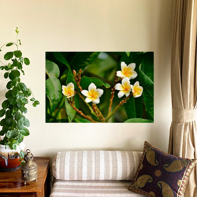 Póster Frangipani amarillo (Subido por el creador)