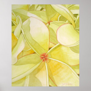 Póster Frangipani amarillo limón