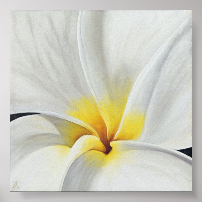 Póster Frangipani blanco (Frente)