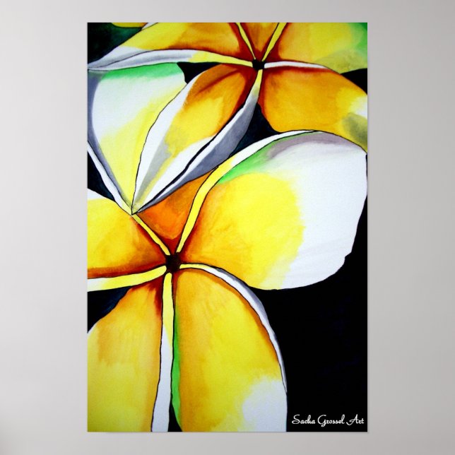 Póster Frangipani flower poster by Sacha Grossel Art (Frente)