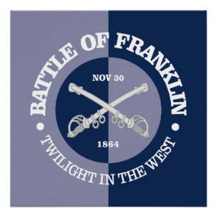 Póster Franklin (B&G)