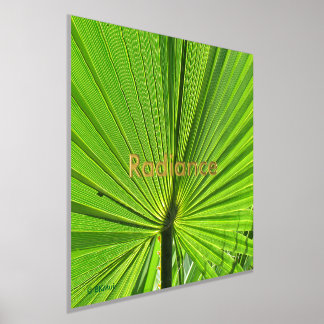 Poster - Frante de palma radiante
