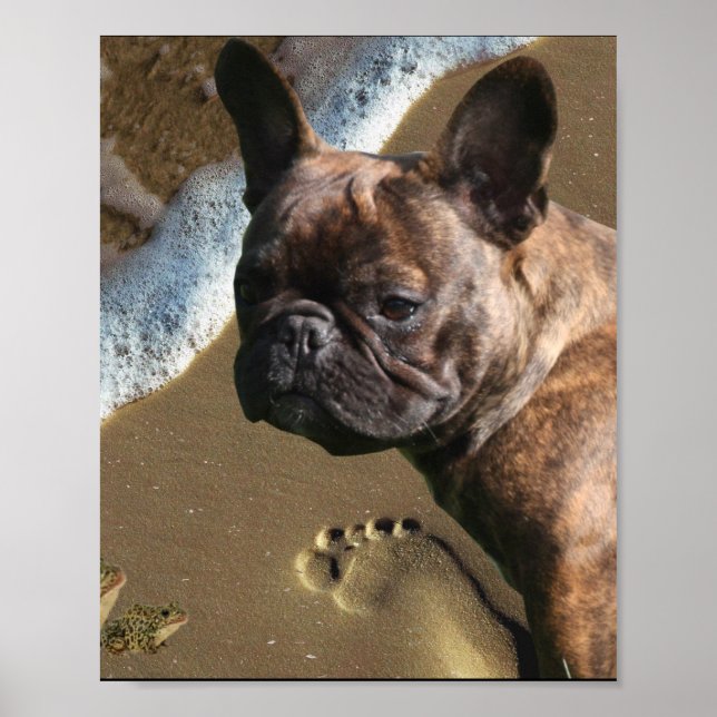 Póster Französische Bulldogge Poster  (Frente)