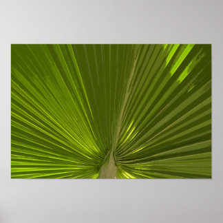Póster Frasco Verde Tropical De Palm Tree