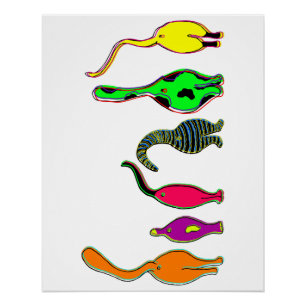 Póster Frascos de gato coloridos