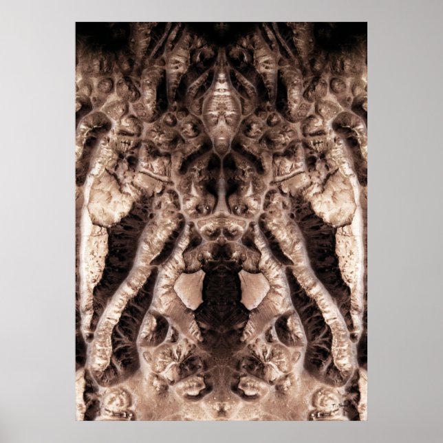 Póster Freak Show (Frente)