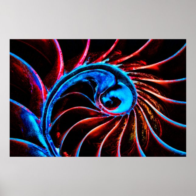 Póster Freaky Nautilus (Frente)