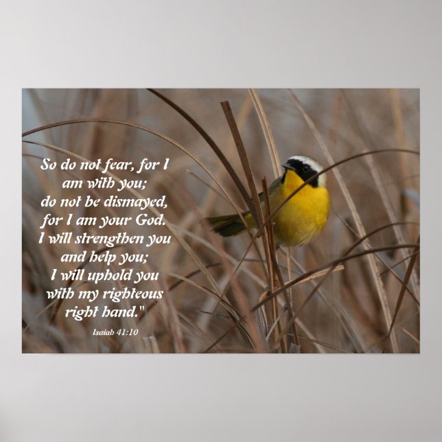 Póster Frecuentes Pájaro de garganta amarilla Isaiah 41:1 (Frente)
