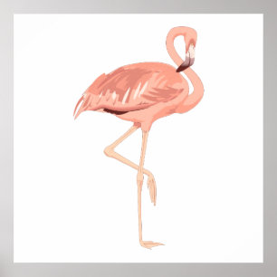 Póster Freddy Flamingo