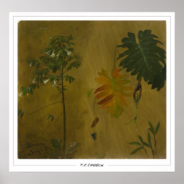 Póster Frederic Edwin Church Fine Art #48 (Frente)