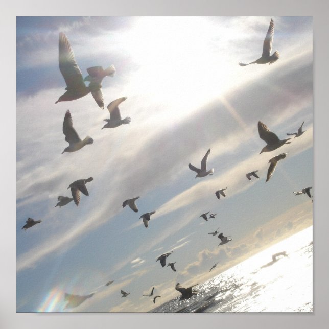 Póster Free Flying (Frente)