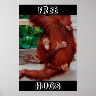 Póster Free Hugs Borneo orangutan