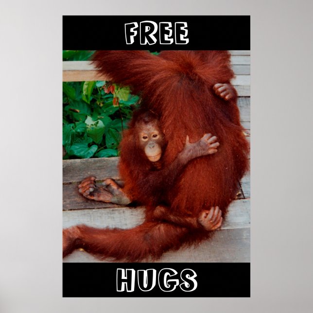 Póster Free Hugs Borneo orangutan (Frente)