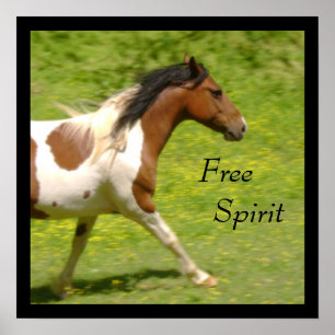Póster Free Spirit