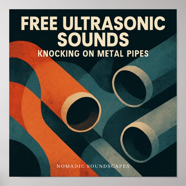 Póster Free Ultrasonic Sounds Album Cover Poster (Frente)