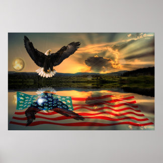 Póster Freedom-Eagle-W-Flag-W-Star-burst-2010