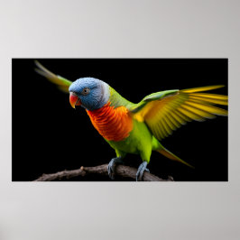 Póster 🌈 Freedom Flight Lorikeet - Dynamic Rainbow