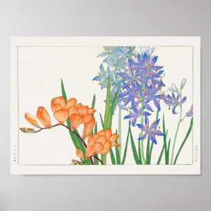 Póster Freesia, lirio africano, por Tanigami Konan