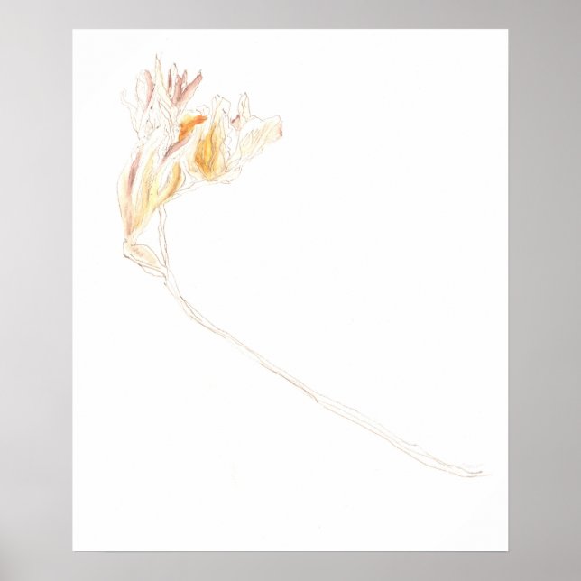Póster Freesia seca n° 3 (Frente)
