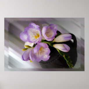 Póster freesias púrpura claro